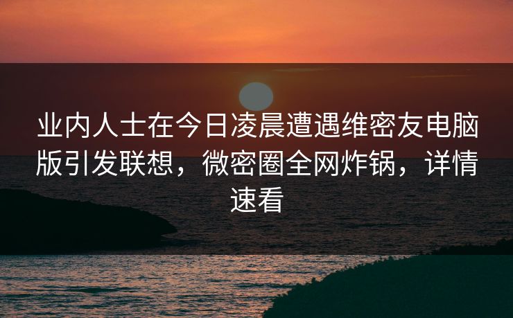 业内人士在今日凌晨遭遇维密友电脑版引发联想，微密圈全网炸锅，详情速看