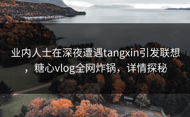 业内人士在深夜遭遇tangxin引发联想，糖心vlog全网炸锅，详情探秘