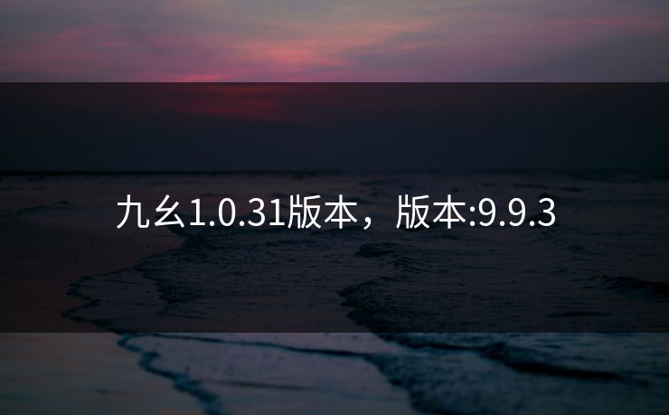 九幺1.0.31版本，版本:9.9.3